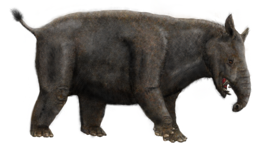 Parastrapotherium martiale - repaint by Zimices