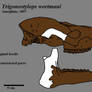 Trigonostylops skull