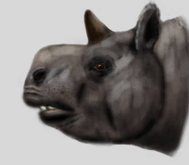 Trigodon Explore the Best Trigodon Art | DeviantArt