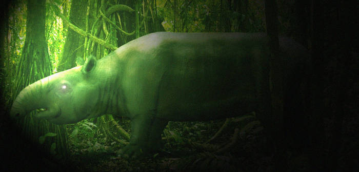 Pyrotherium Fish Explore the Best Pyrotherium Art | DeviantArt