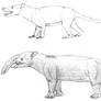 Lycopsis and Granastrapotherium