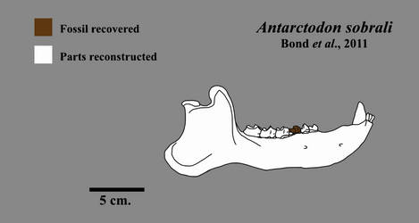 Antarctodon sobrali