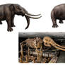 Notiomastodon, Andean elephant