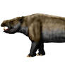 Falcontoxodon