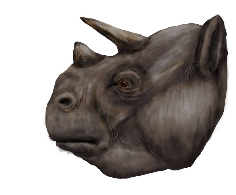 Trigodon Trigodon (speculative) by Zimices on DeviantArt