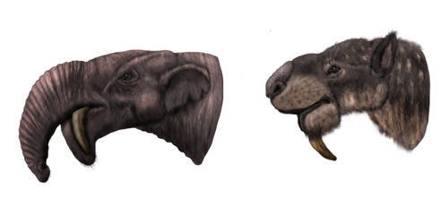 Zimices Hobbyist DeviantArt