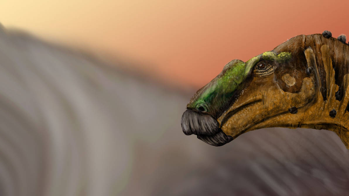 Secernosaurus by Zimices on DeviantArt