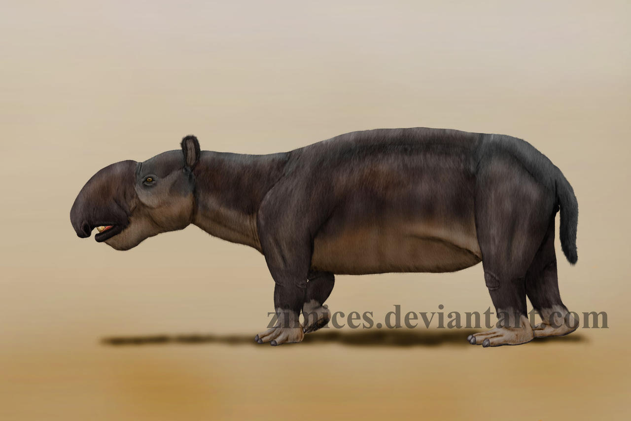 Pyrotherium Propyrotherium reconstructed by Zimices on DeviantArt