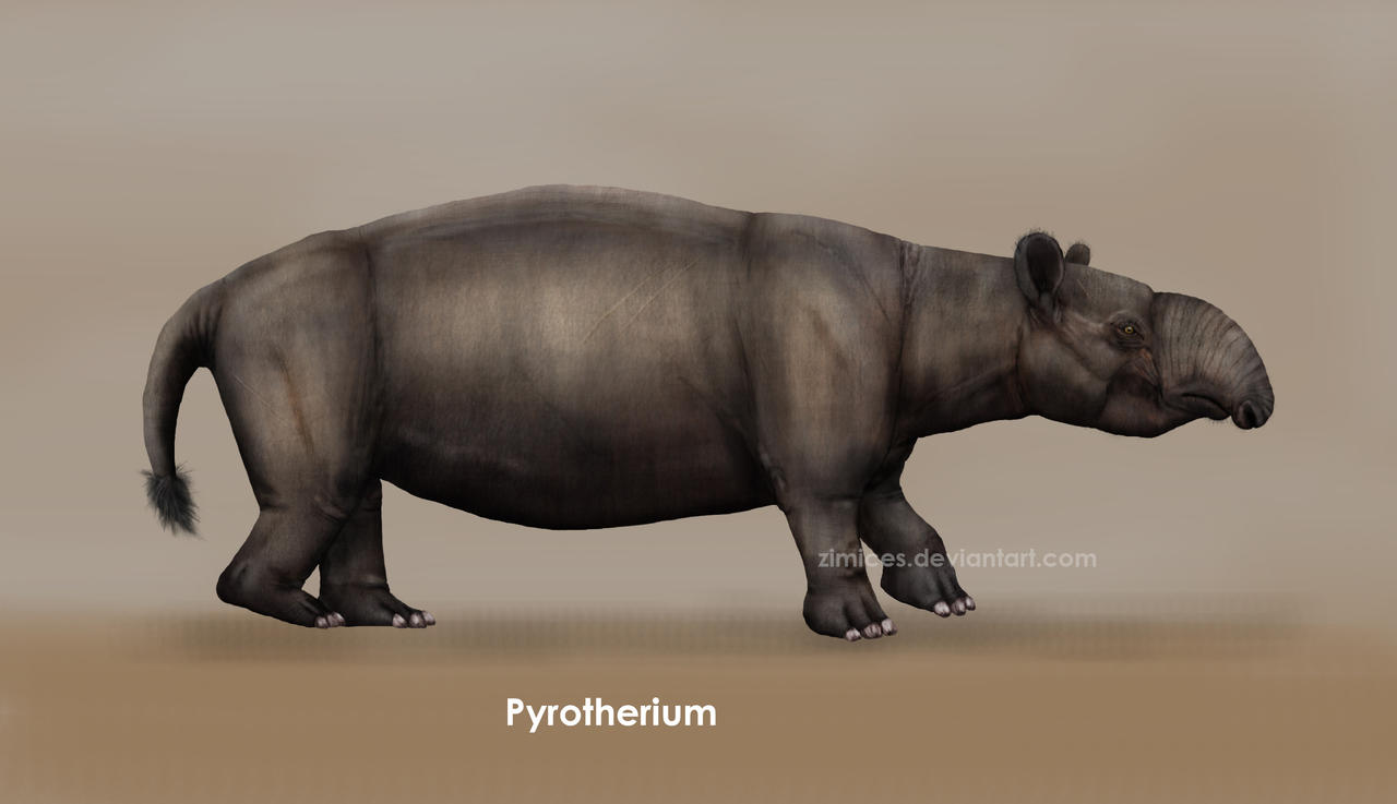 Pyrotherium Pyrotherium in life by Zimices on DeviantArt