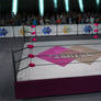 Fighting Angels - Wrestling Ring and Seating Area