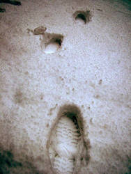 Foot prints in the snow