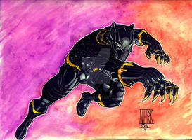 Hero 13: Black Panther