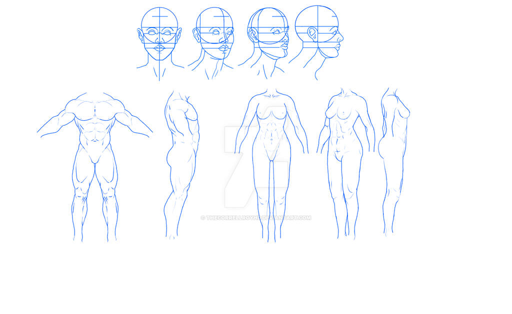 Body Layout Print Out Body Anatomy Layout by TheCorrellRoyHD on DeviantArt