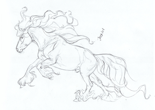 Horse Anatomy Sketch XIV