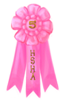 5th Place HSHA Ribbon by Jag6201