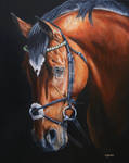 Frankel by Stephanie-Greaves