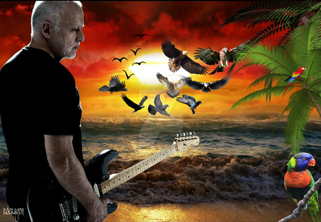 David Gilmour 