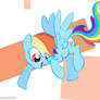 DASHIE