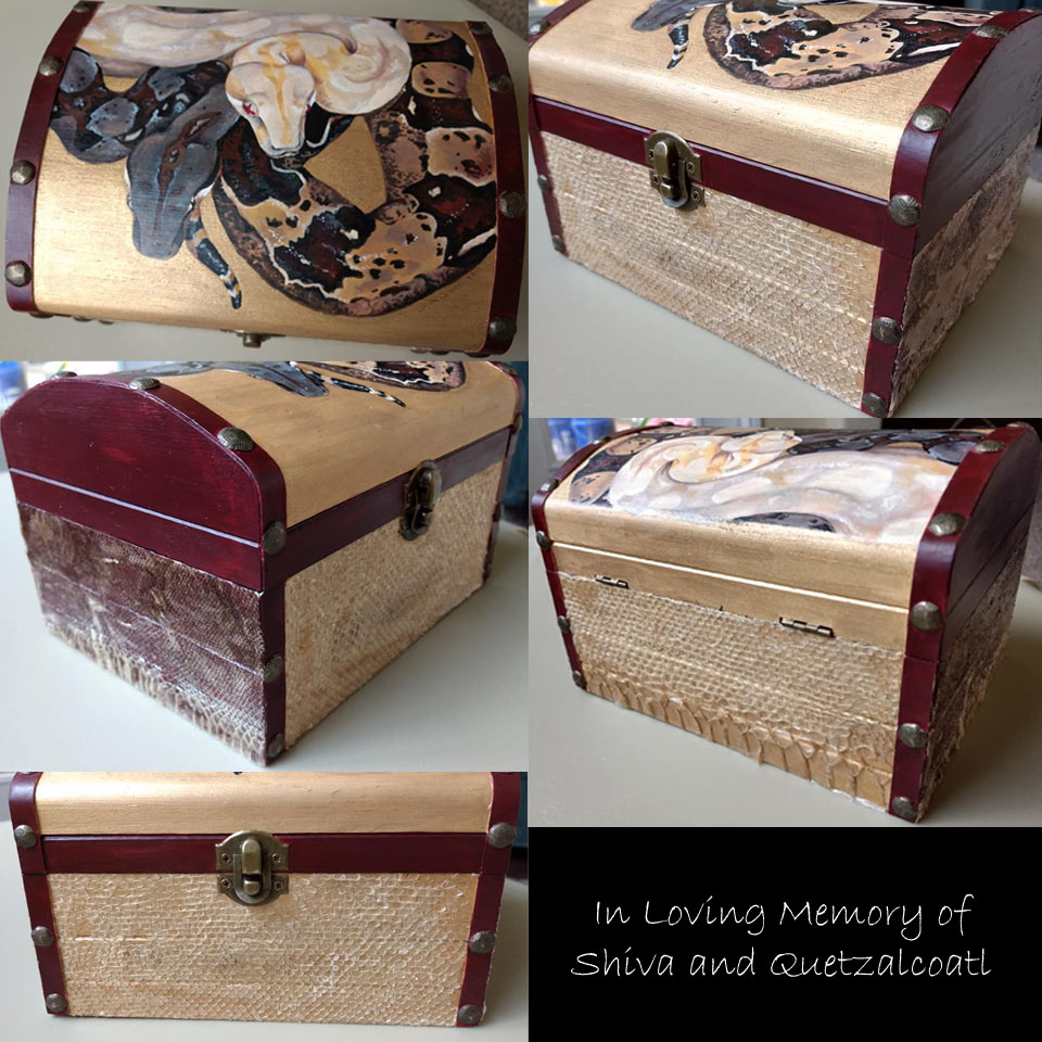 Shiva and Quetzalcoatl Memorial Box by mrinx