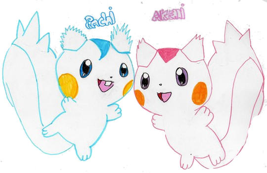 Pachirisu power