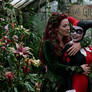 Harley Loves Ivy 2