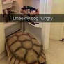 He gets hungry sometimes (insert laughing emoji)