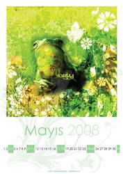 Calendar 2008 05