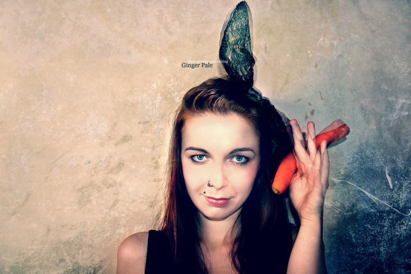 Missy Rabbit by Ginger-Pale on DeviantArt