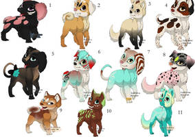 Puppy adoptables ( closed)