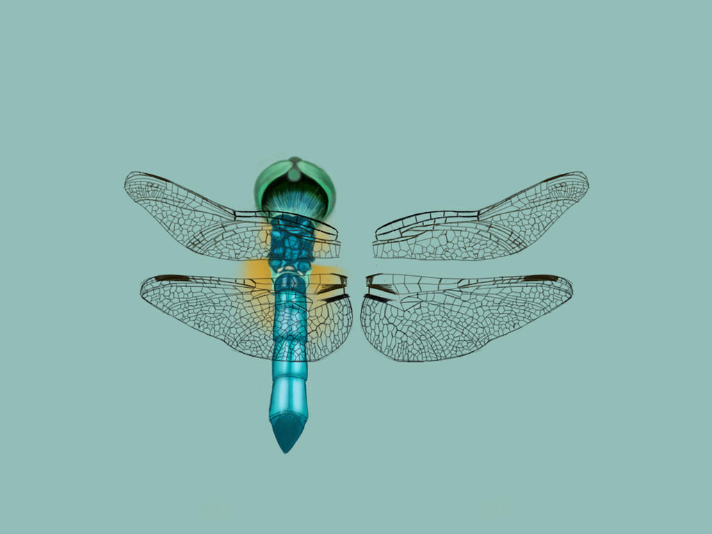 Fly Bug Deviantart FLYING INSECT by SEEvans on DeviantArt
