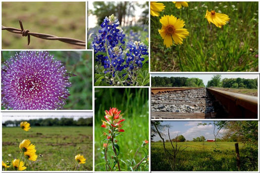 Spring in Texas