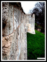 York Wall