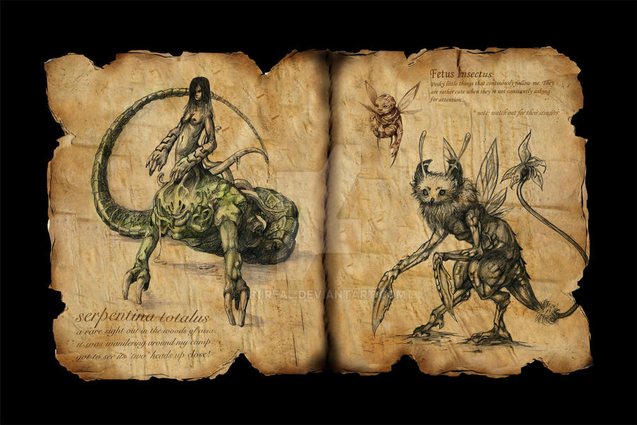 Pages from Explorer's Journal by anireal on DeviantArt