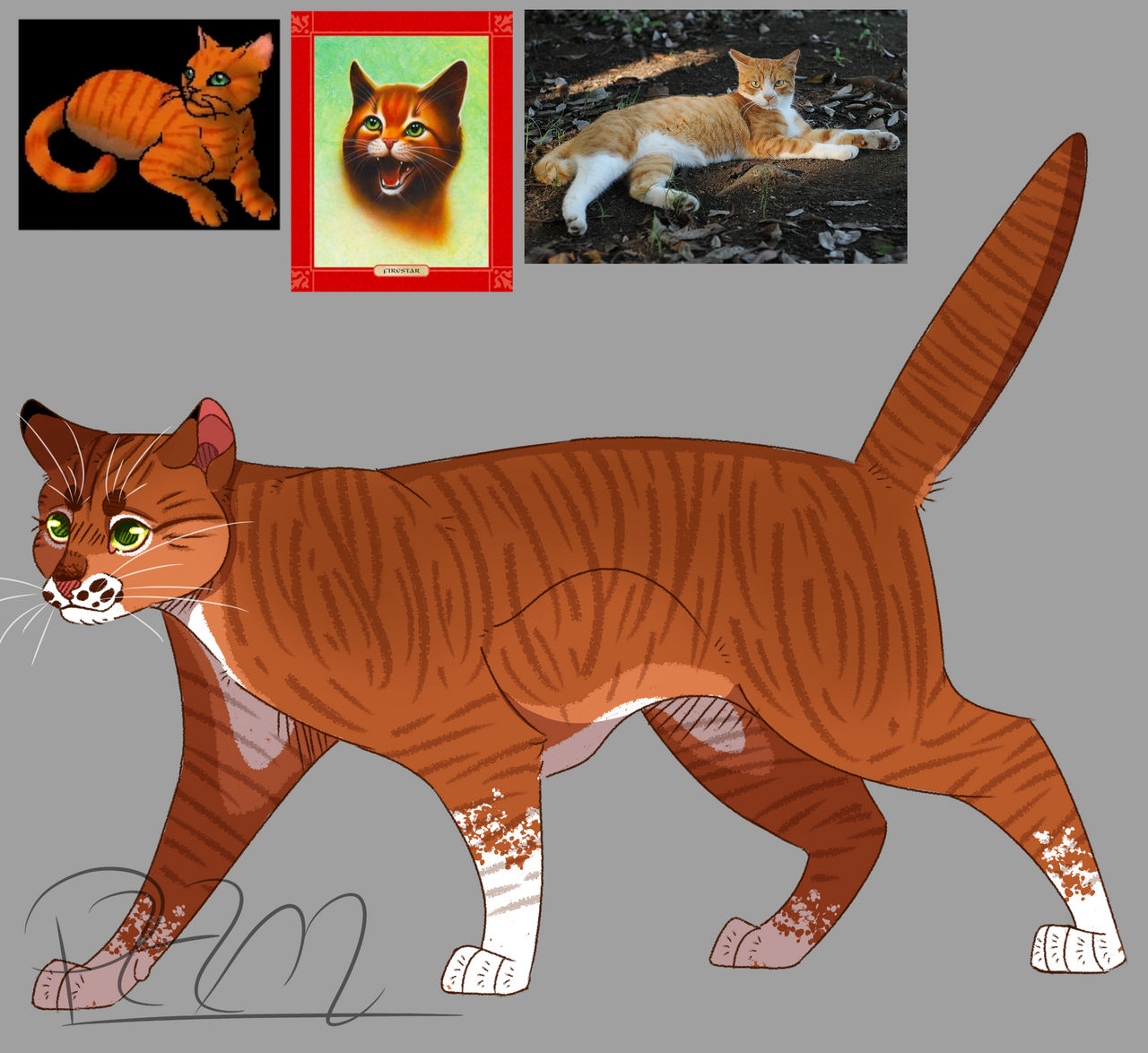 Fireheart/Firestar -icon- in 2023  Warrior cats art, Warrior cat, Warrior  cats fan art