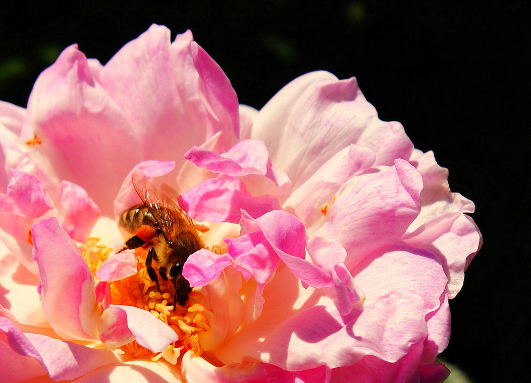 work and travel by OME9 on DeviantArt