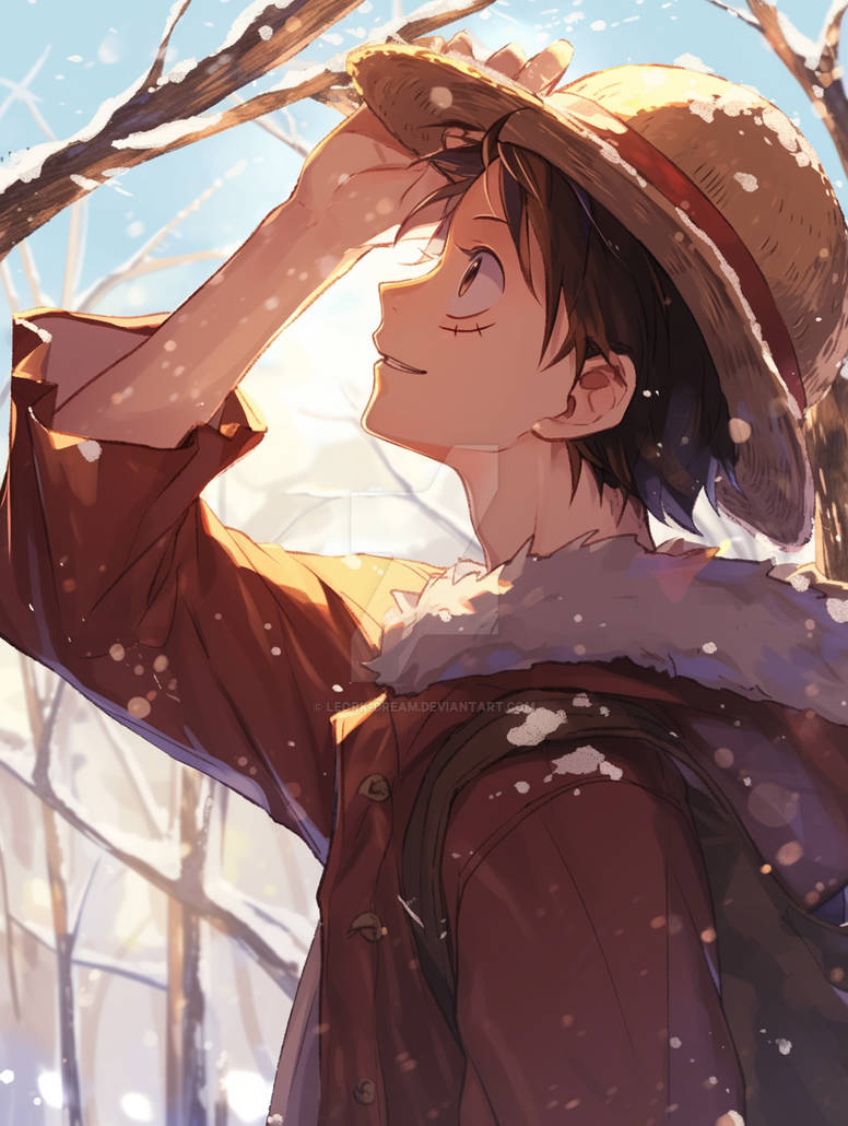 Luffy Snow Luffy - Winter by Leork-Dream on DeviantArt
