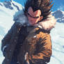 Vegeta - Winter