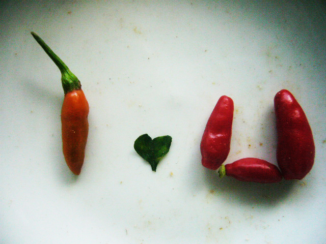 piment love