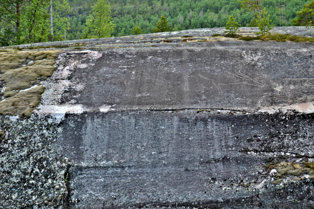 Petroglyph Norway Stock