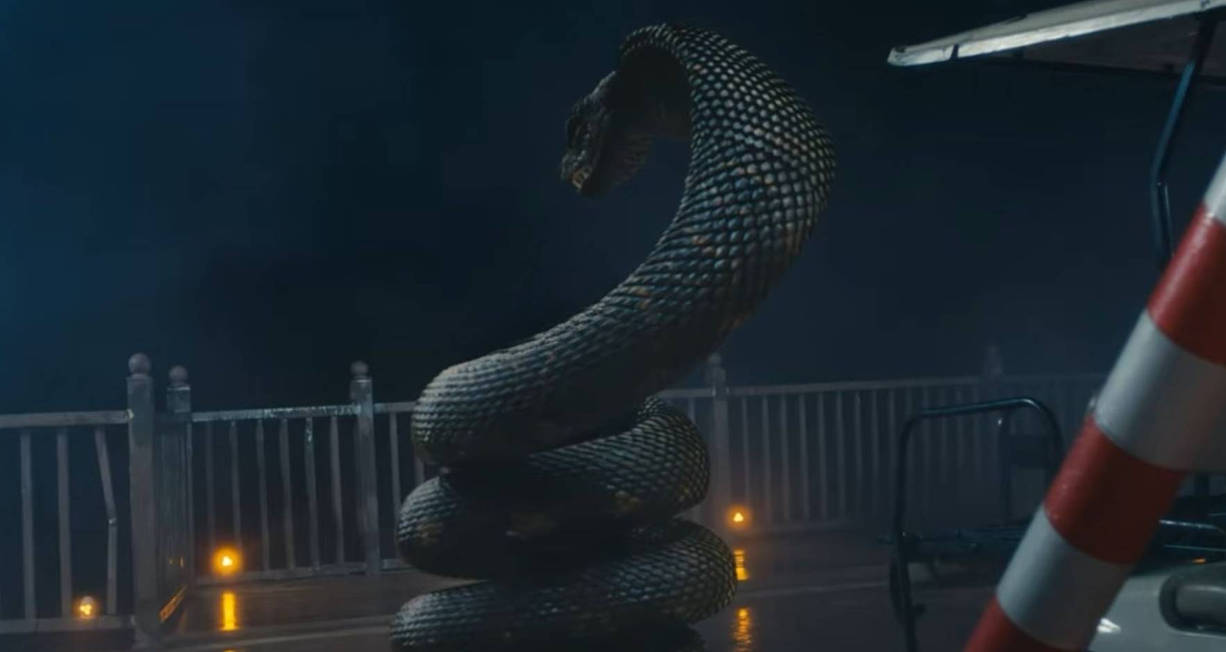 Giant Cobra squeeze who 4 by ToyHypnoRabbitPython on DeviantArt