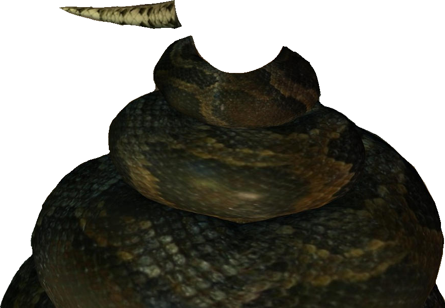 Python Coiling Who Renders by ToyHypnoRabbitPython on DeviantArt