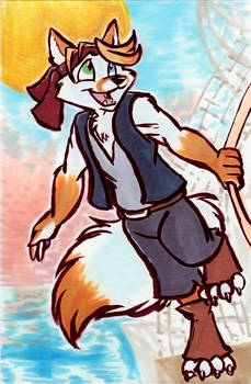 Pirate Fox