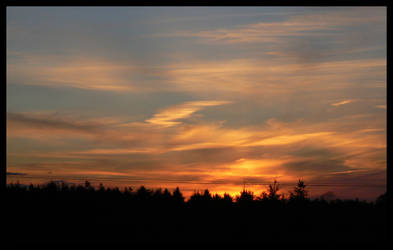 Treeline Sunset