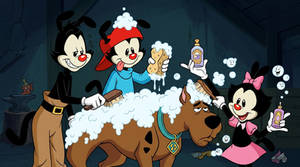 Yakko, Wakko, and Dot bathing Scooby Doo
