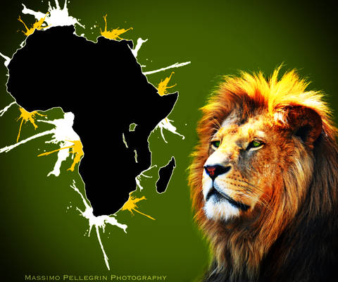 Save Africa