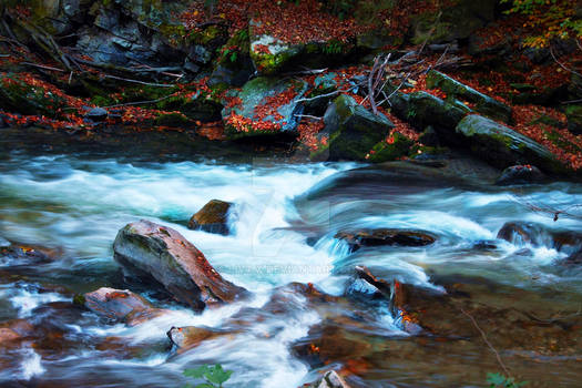 Autumn River II