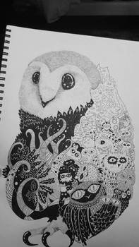 Owly owls 