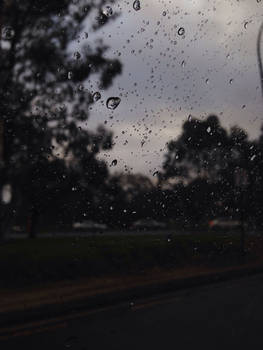 The rain