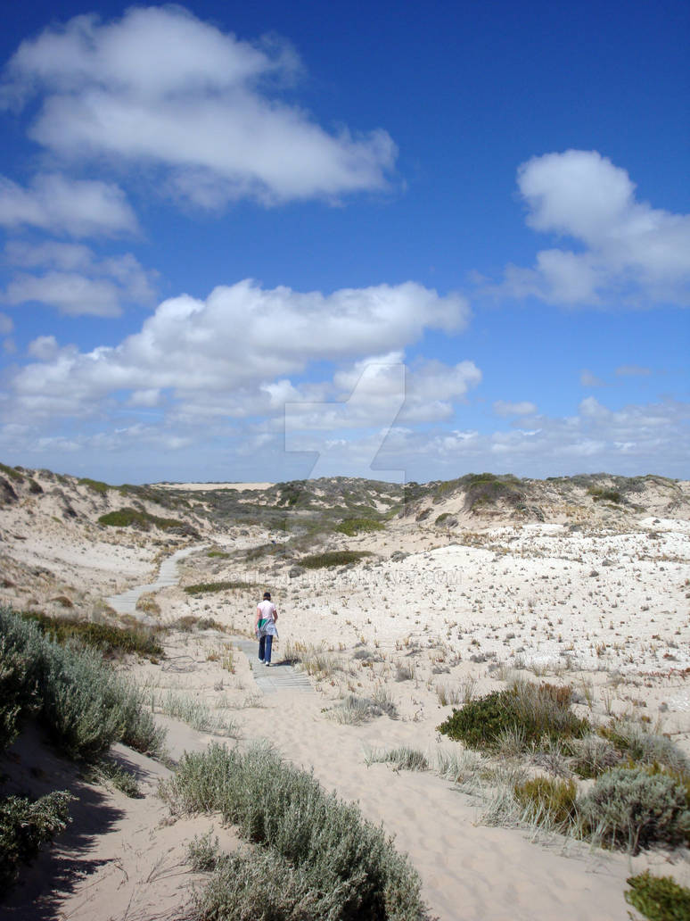 The Coorong