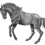 Rearing Horse Line Art By Xxkincadesvanityxx-greys